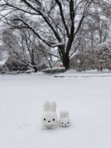 暑すぎて辛い為、雪が積もって大喜びしていた頃の写真を見て気持ちを冬にする作戦。今年も降って欲しいし遊べるぐらい積もって欲しい