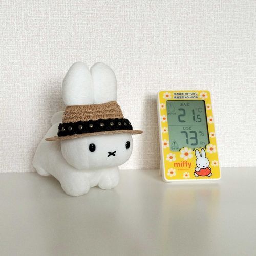 正しい被り方