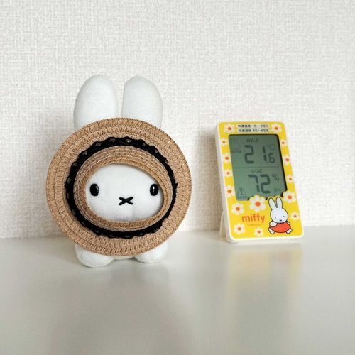 正しくない被り方