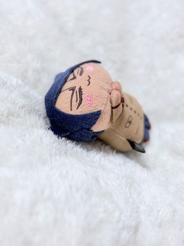 鯉にゃんお眠り中💤