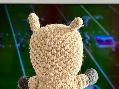アメフトだよぉ！！🏈🐑💨

パァパと一緒に観てんの〜！なんか全部派手派手ねぇ〜…
