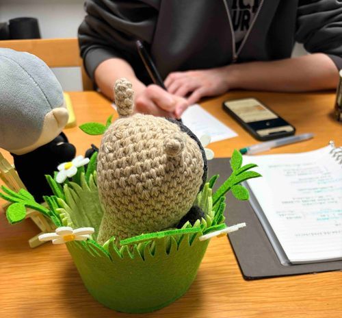マァマが最近ずっとお勉強してるから、横から応援してるの〜📣🐑
ぷくも何かお勉強しないとねぇ🖋️🐑