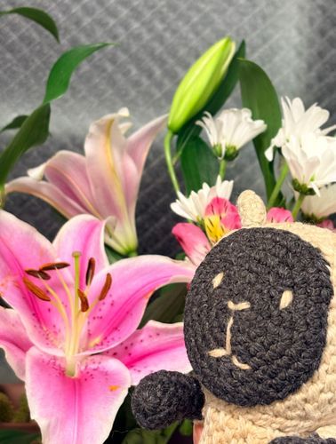 マァマがいっぱいお花もらってきたから、お家がお花の匂いでいっぱいなのぉ〜🌺🐑…美味しいかな？