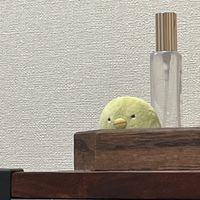 ぺんちゃん