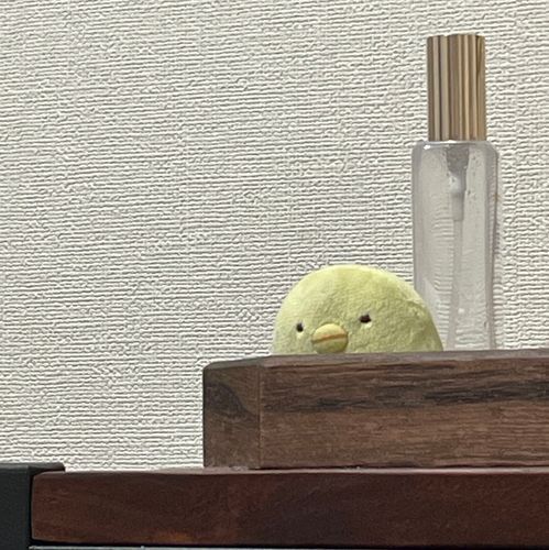 きゅうりがだいすき🥒
