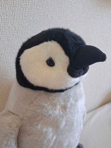 コウテイペンギンの　あかちゃん
にんげんと　そのかぞくと　たくさんのぬいぐるみと　いっしょ
すまほは　まだふなれ
あかちゃんにしては　かしこいて　よくいわれる　よろしくね