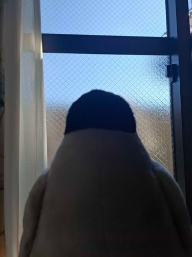 きょは　てんき　いい
ひなたぼこ　びより

おなか　ふわふわになった