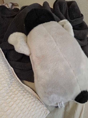 にんげんが　おふとんもほしてた
いにおい　する
よる　ねるの　たのしみだね