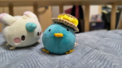はじめて帽子かぶったとき