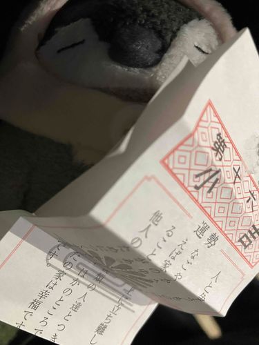 こちら、今年の持ち主の運勢です