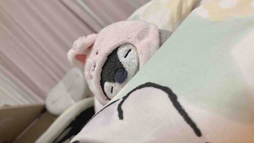 今日はさ、持ち主が初出勤がんばったからさ、うさぺが寝かしつけてくれるんだ