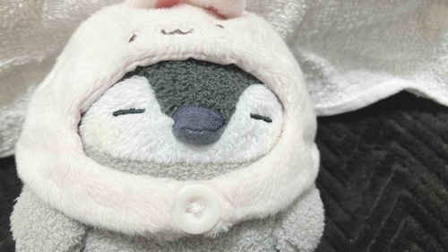 一週間、がんばったよ〜！
今日は遠方のお友達と会うからわくわく

持ち主楽しみすぎて早起き
うさぺちゃんはまだねてる