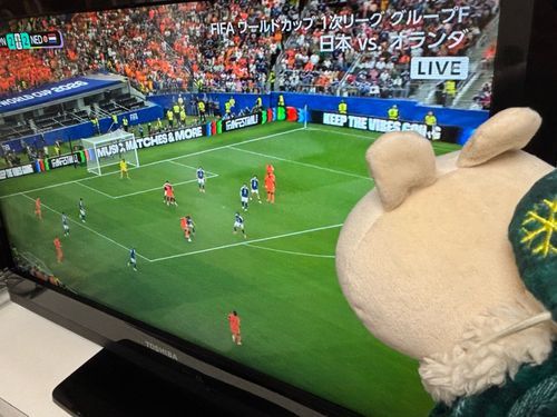 がんばれ⚽️