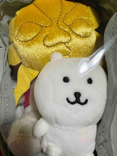 ちょっと おっかないかも…