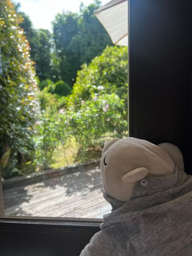 今日はいい天気☀️