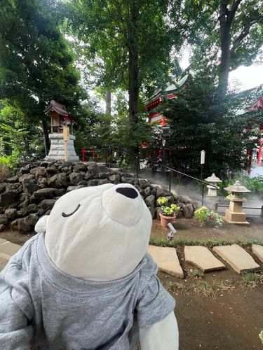 八幡宮に参拝してきました⛩️🐻‍❄️