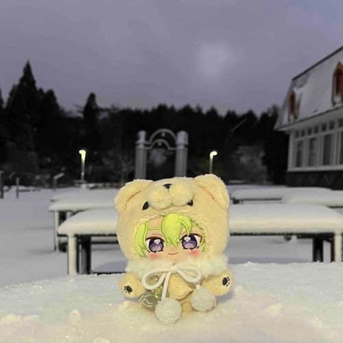 蒜山🏔´-
ぴよぬ、寒かったね～⸜❄️⸝