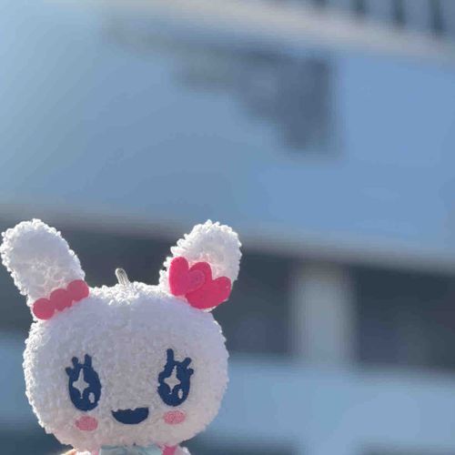 いにっちのライブに行ってきたよ〜！！₍ᐢ‥ᐢ₎ ♡
きよっちちょーらぶりーで泣いちゃった〜（ ;  ; ）