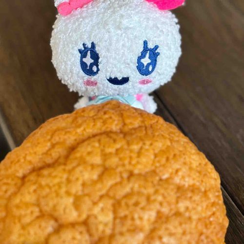 おっきなめろんぱん🍈✩⡱