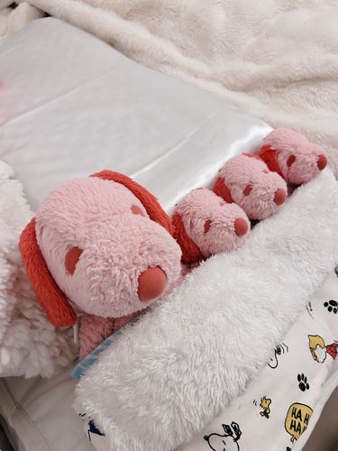 ねるときはいつもここにみんなならんでねているよᙆƶᙆあったかおふとんはかあしゃん（主）が作ってくれたよ☆きょうはもうおやすみです…。