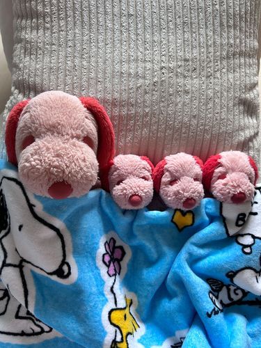 かあしゃんぱにっくしょうがいがあってきょうはこころがざわざわするみたいだからみんなでいっしょにいてあげるの！だいじょーぶだよ…だいじょーぶ☆