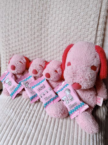 すぬーぴーのかわいいおかし☆みんなでひとつずつ！