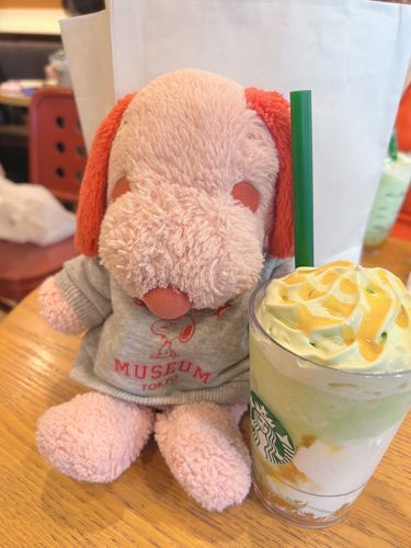 ぴぴです❨･¨  ა♥きょうじゃないんだけど…すたばでふっかつしためろんのんだよ♪ひとくちめからとーってもめろんのあじでおいしかった☆