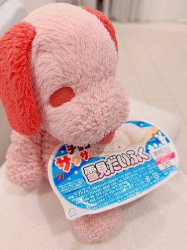 ぴぴです❨･¨  ა♥さくさくゆきみだいふくだって！はじめてみた！もちもちゆきみだいふくのなかにさくさくがはいっておいしかったよ☆