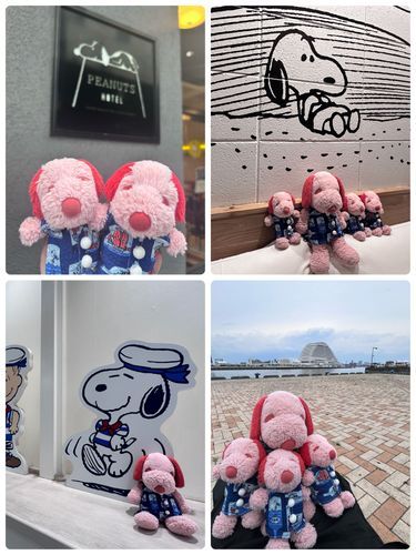 みんなでこうべにいってきました！ぴーなっつほてるにとまって、こうべ、さんのみや、にしのみやにあるすぬーぴーのおみせにいって、うみもみたよ☆こうべはいちねんぶりだけどとーってもたのしかった❨･¨  ა♥❨･¨  ა♥❨･¨  ა♥❨･¨  ა♥