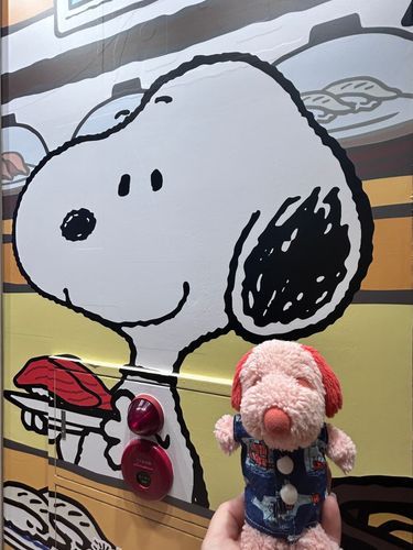 ぴっちゃんです❨･¨  ა♥くらずしですぬーぴーこらぼがはじまったよ！おすしたくさんにこらぼめにゅーもたべてすてっかーもらってびっくらぽんしてかんばっちもらってせんちゃくののーとももらえたの⋆*✩おっきなすぬちゃんにこんにちはしたんだ♥