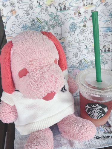 ぴぴです❨･¨  ა♥すたばのくらふとじゅーしーぴーちてぃーっていうもものどりんくのんだひ☆ももがたくさんごろりんとはいっていてさっぱりおいしかったよ⋆*りばてぃぷりんとのすぬーぴーばっぐはちょうどぴぴがはいれるさいずだよ！かわいいがらでかあしゃんおきにいり☆