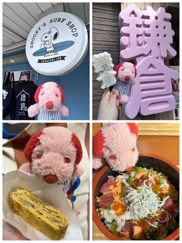 ぴーぴです❨･¨  ა♥きのうはかまくらにいきました！かんじのあいす、かいせんどん、しらすがたくさんはいったたまごやきをたべたよ☆すぬーぴーさーふしょっぷもいったよ☆あつかったけどとってもたのしかったんだ⋆*