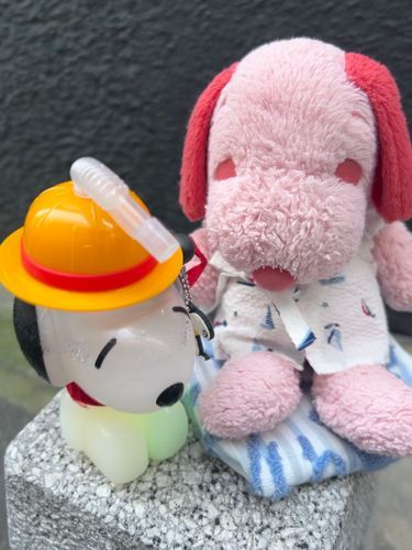 ぴぴです❨･¨  ა♥きょうはおうちいるひだなーっておもってたらゆうがたからおまつりいくよ！っていわれていってきたよ☆すぬーぴーのひかるぼとるがあったのꕀ꙳むぎわらぼうしかわいい♥いまねかあしゃんがあたらしくなつのじんべいつくってくれててぴぴのがさいしょにできたからきてみたよ！