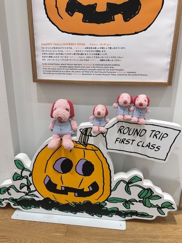すぬーぴーみゅーじあむははろうぃんのかざりがいっぱい！かぼちゃのおばけさんとしゃしんとったよ☆こんかいはふつうのおようふくでいったけどつぎはかそうしていくんだ♥❨･¨  ა