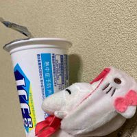 お仲間隊