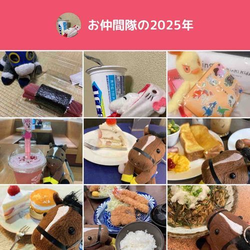 今年はキタサンとさまざまな場所へお出かけしたようです。来年も祖母の分までたくさんお出かけしたいですね。