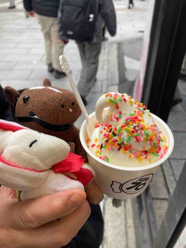 そふとくりーむきらきらのちょこがおいしいねぇ
🍦‼️