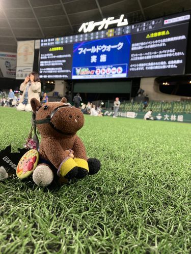 やきう⚾️