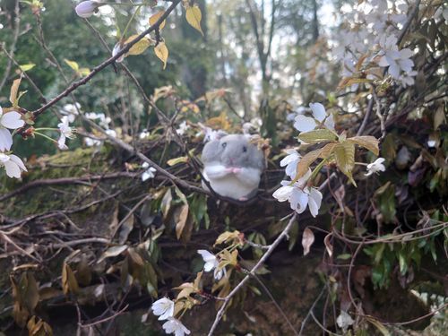 おはようございます!