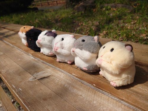 あたたかいねぇ☀️