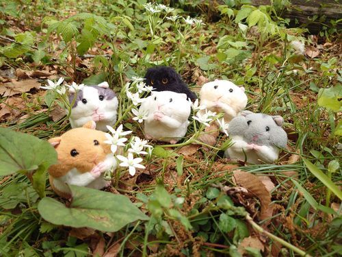 おさんぽ楽しいね♪