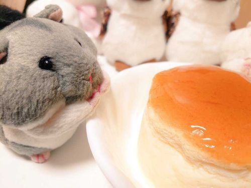 18日におたんじょう日のお祝いをしたよ！