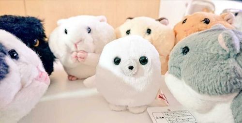 家族が増えたよ！
これからよろしくね！