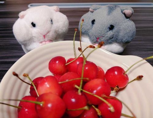 美味しい思い出🍒