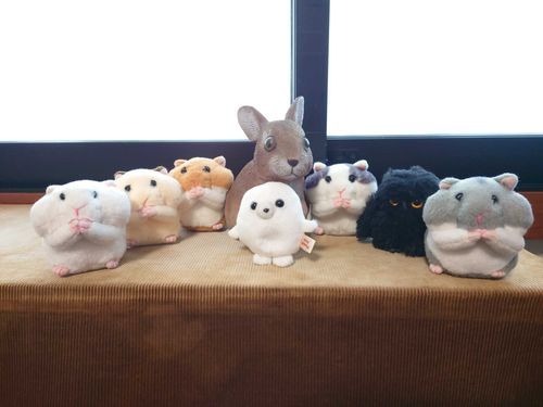 パパの実家のウサギさんと🐰📷️