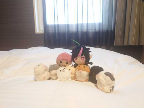 旅行に行ってきたよ!