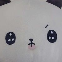 首領ちゃむ໒꒱· ﾟ