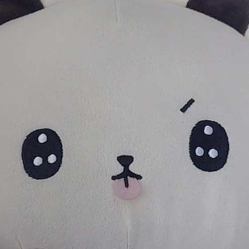 たくさんのぬいぐるみと過ごしてます( •̀ .̫ •́ )