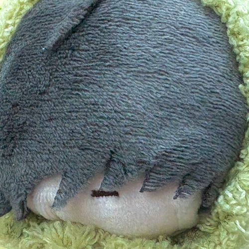 フリューくじにて発掘