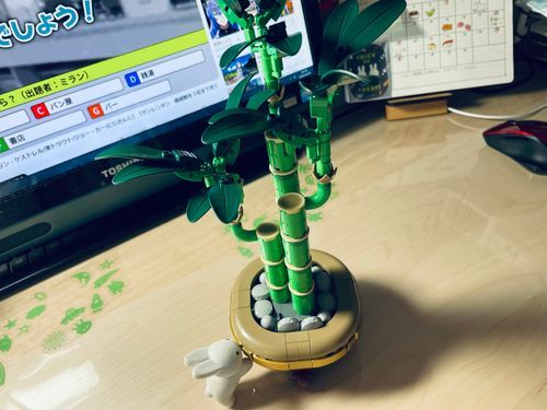 出来ました！並べるとかわいいねー！
